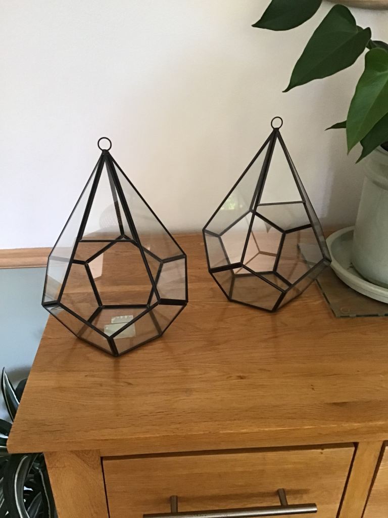 Glass Terrarium