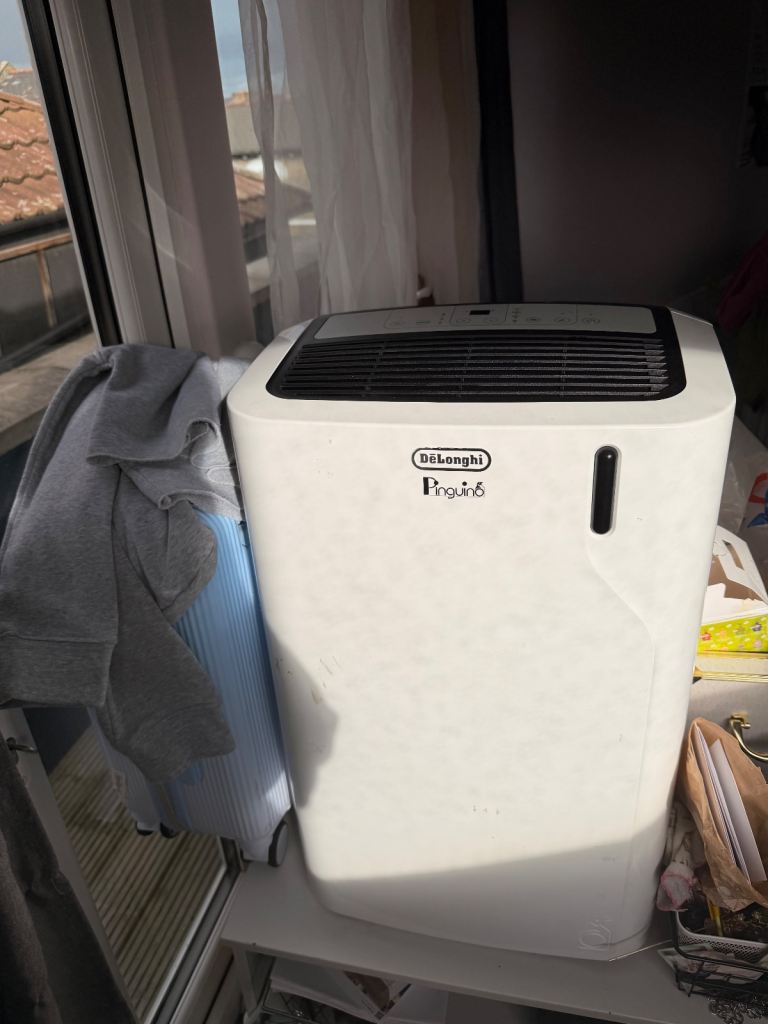 DeLonghi Pinguino Portable Air Conditioner