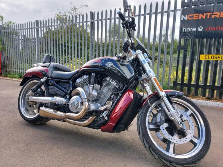 2015 Harley-Davidson V-ROD MUSCLE VRSCF Solid colour   Petrol Manual