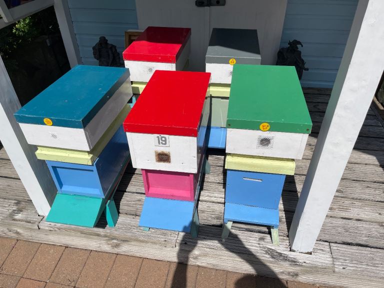 Nuc boxes. 