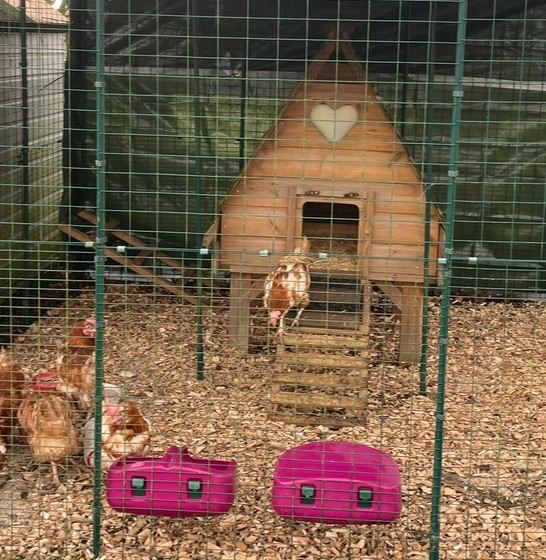 Flyte so Fancy Hen House 