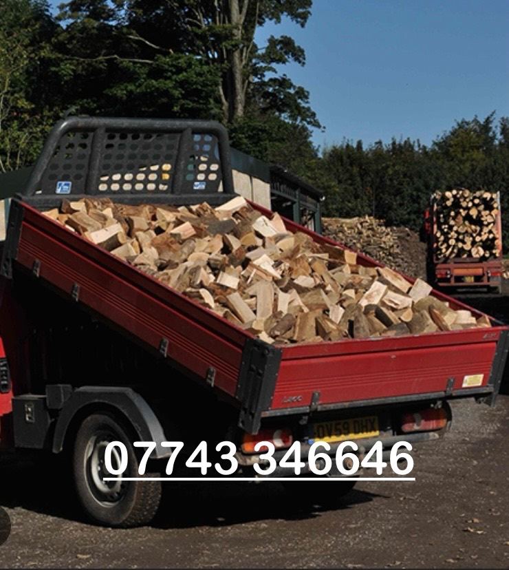 Barn stored ASH logs bone dry seasoned DRY 