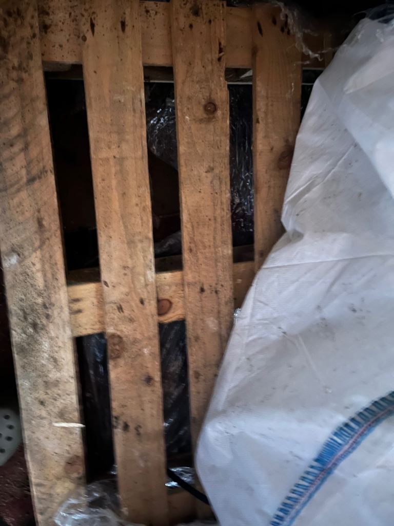 Free pallet