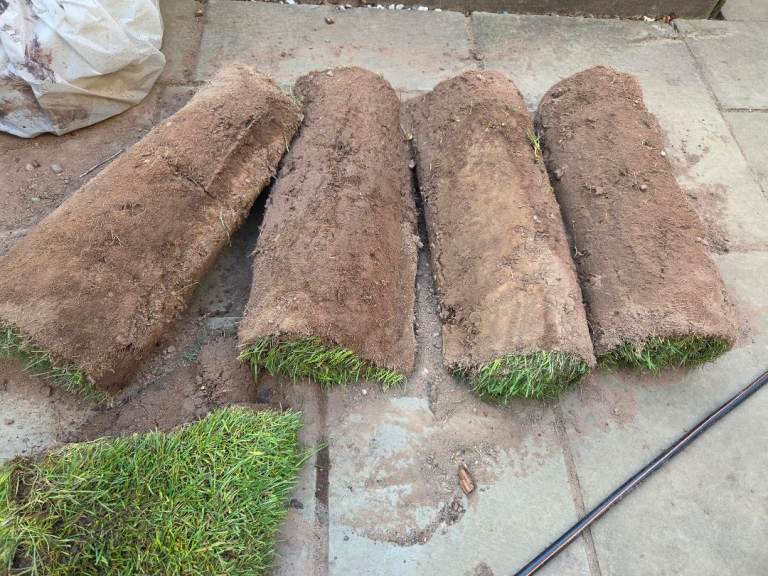 5 Free Rolls of Turf 