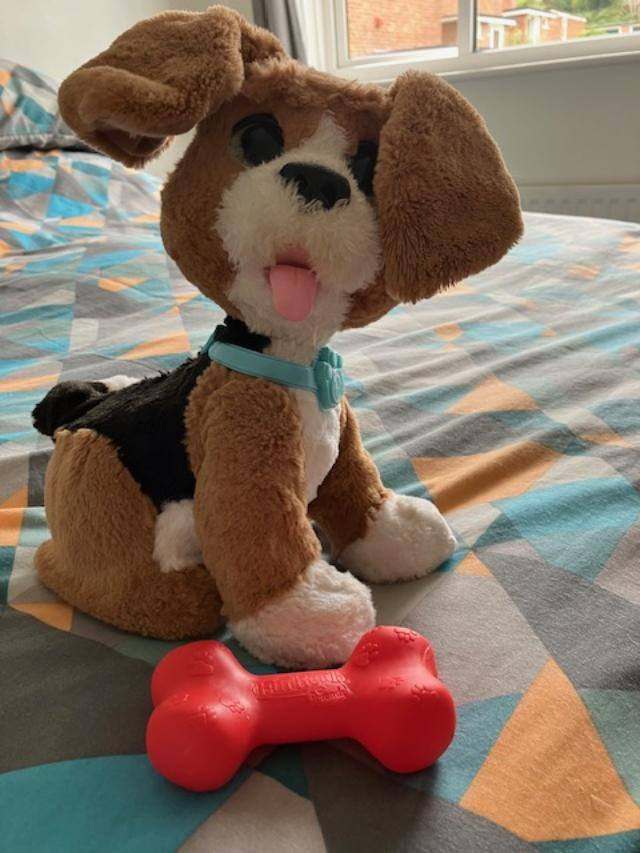 Fur Real Puppy with bone , interactive puppy whose head moves and talks excellent condition