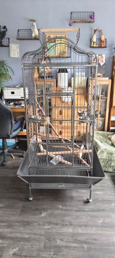 Large parrot cage