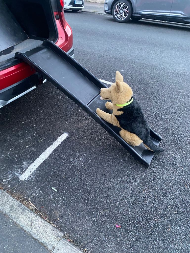 Dog Ramp Used 