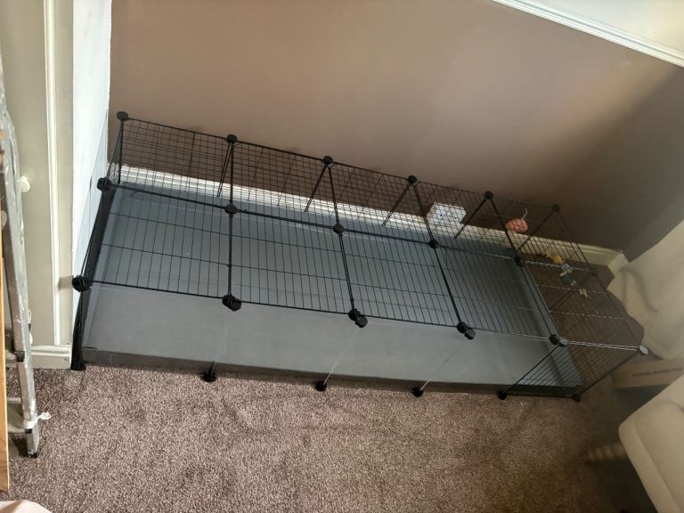 Guinea pig kavee cage