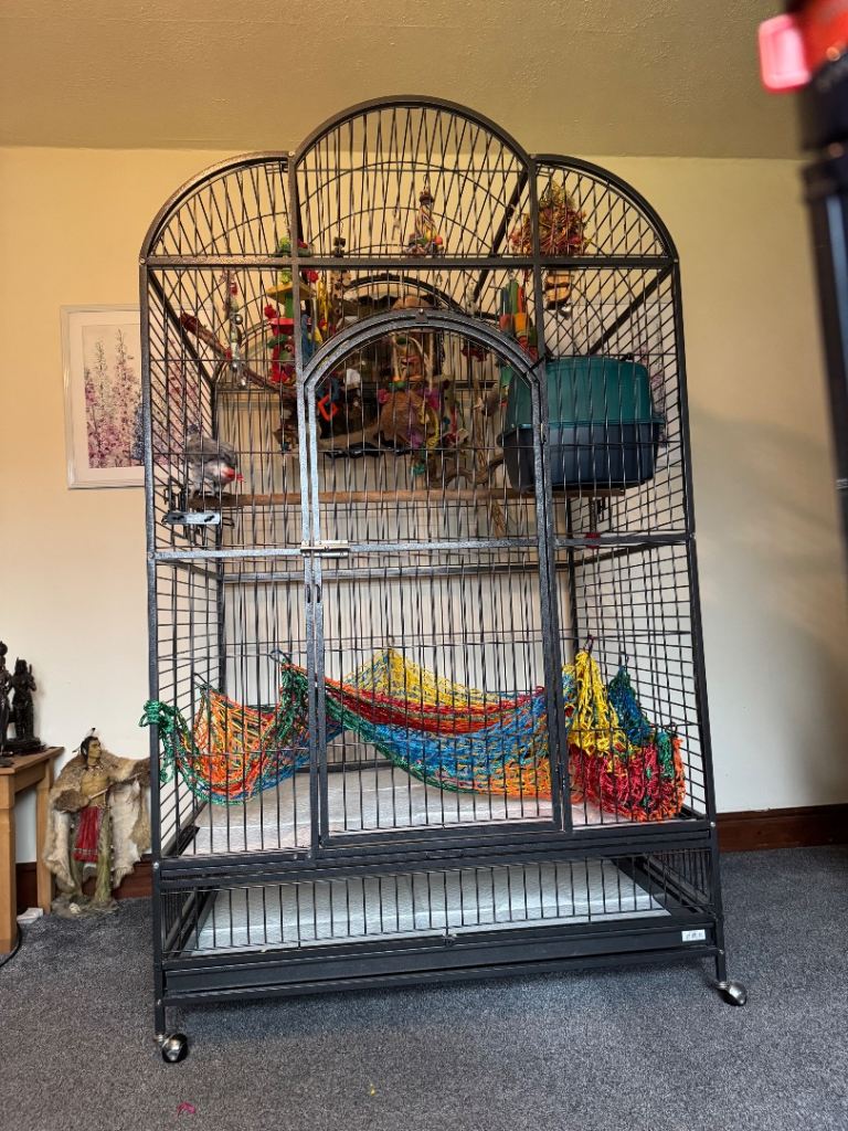 Large black metal bird cage on wheels with perches and bowls 