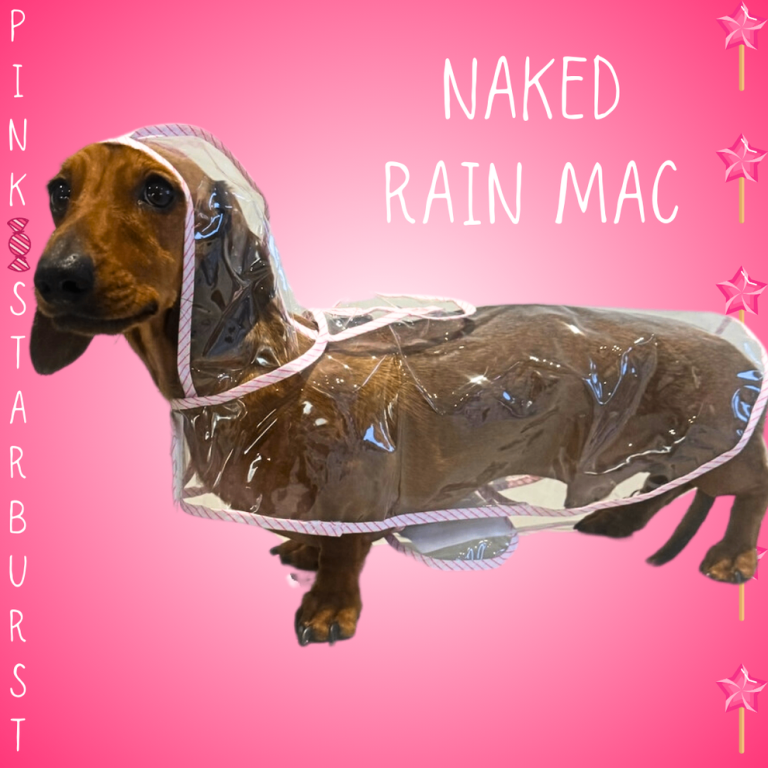 Dachshund Rain Mac Dog Coat