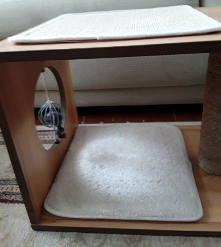 Cat Vespre Furniture