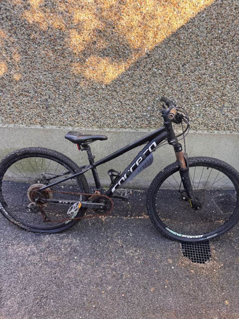 Bike - needs a bit of work