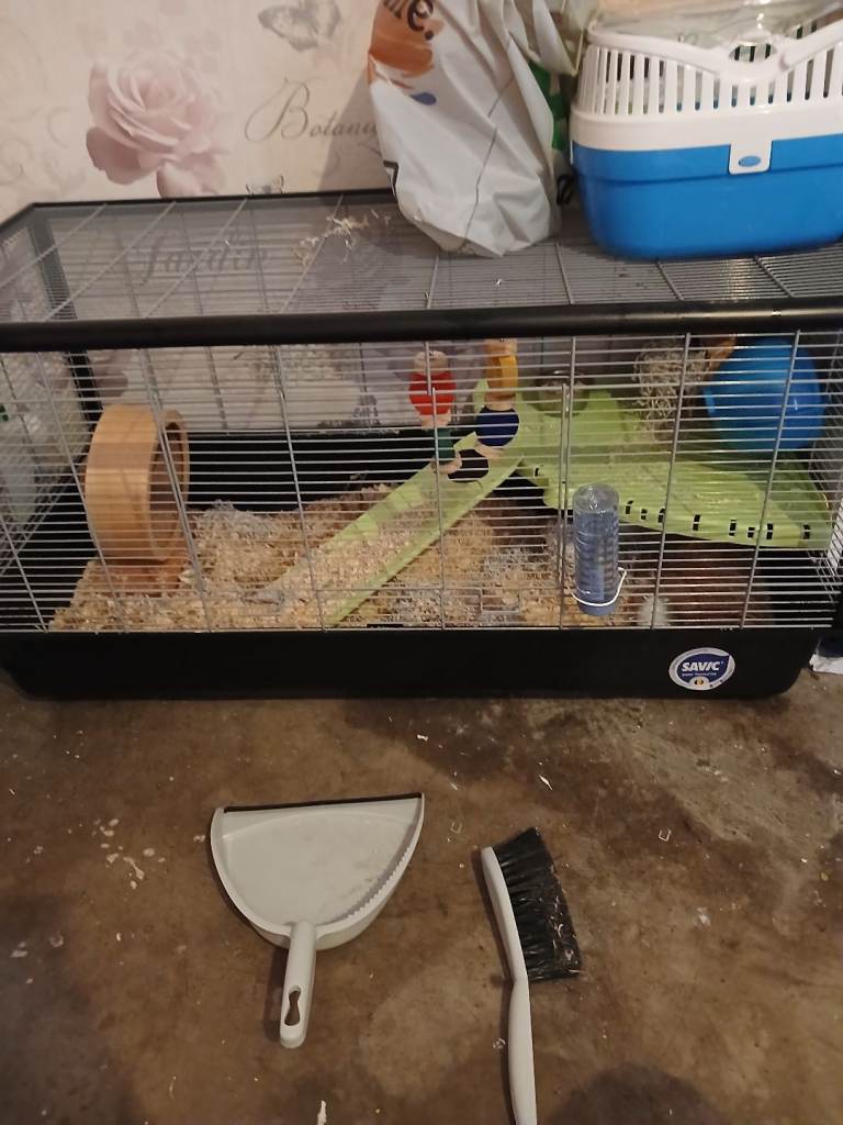 Hamster cage 