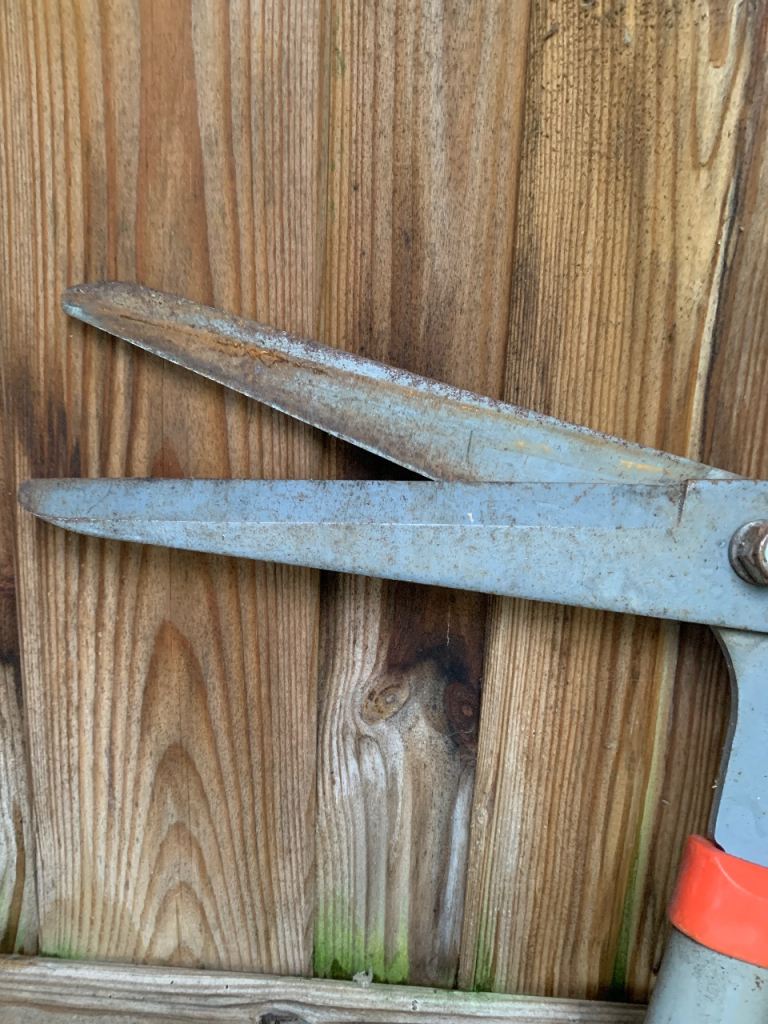 Garden and grass shears  
