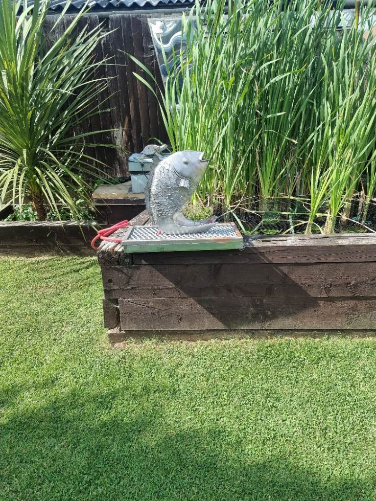 Fish sculpture water feature