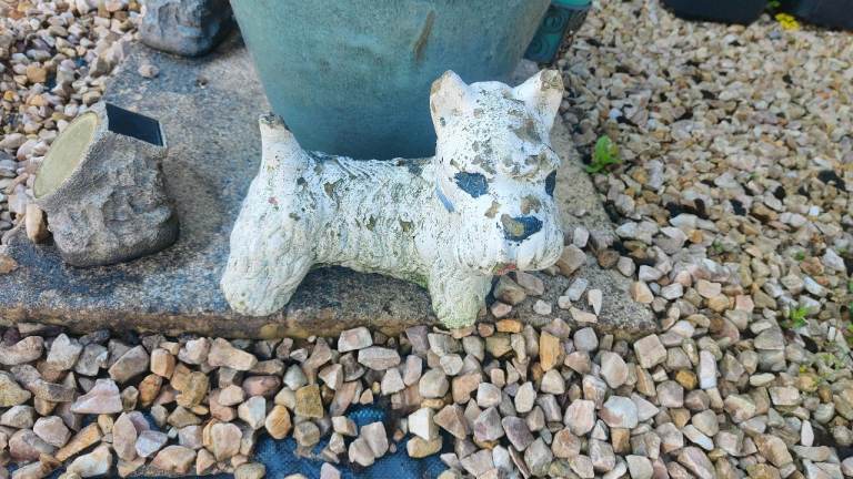 Free scotty dog garden ornament 