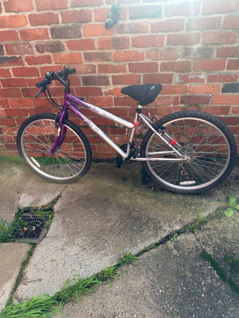 image for Adults bike 