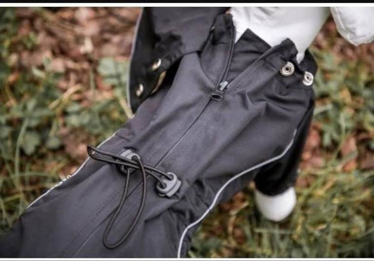 Dog coat