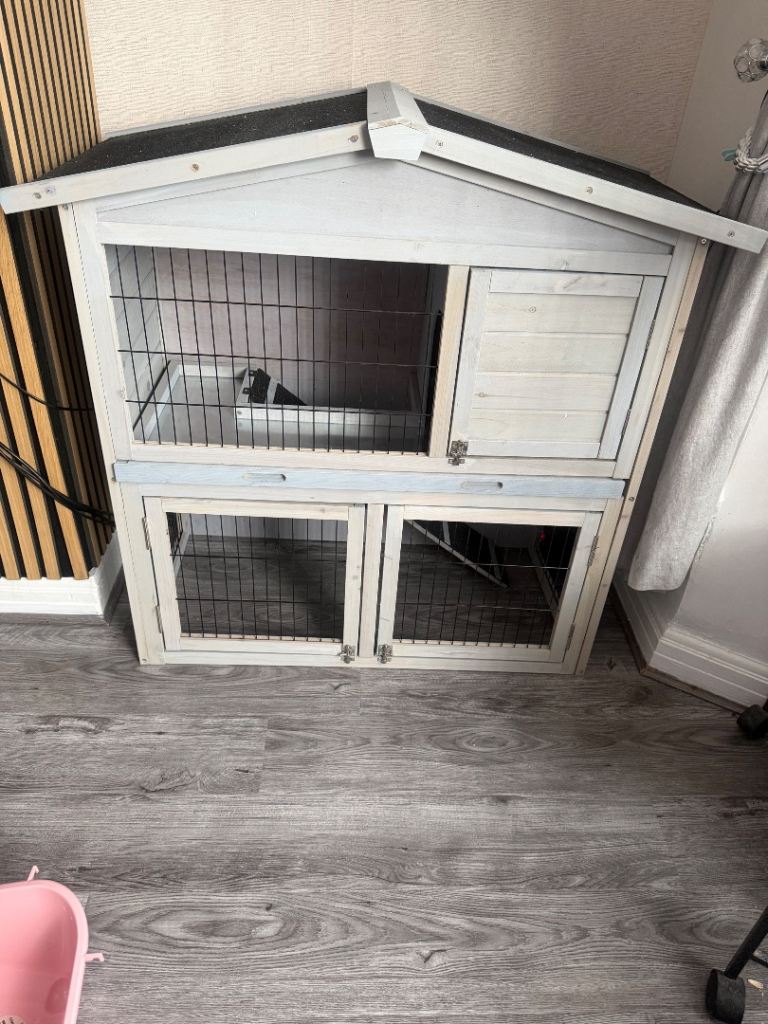 Rabbit hutch 