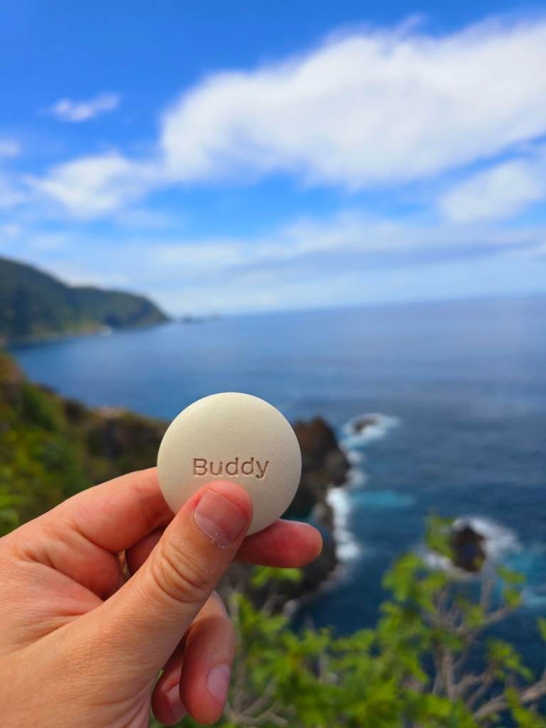 Remembrance Stone made from pet ashes (Small)