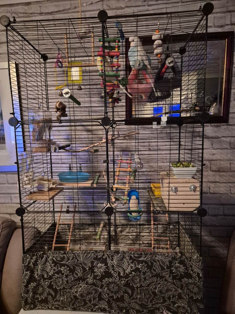 Large Bird Cage