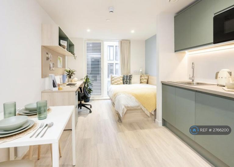 Studio flat in Parklands Student Accommodation, Dundee, DD1 (#2766200)