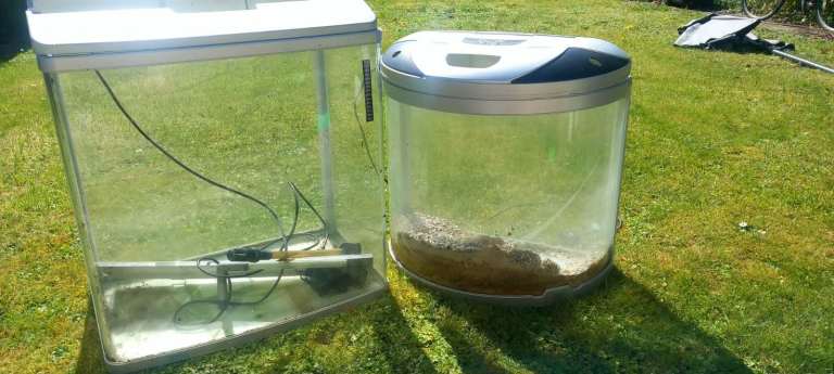 Two large fish tanks 