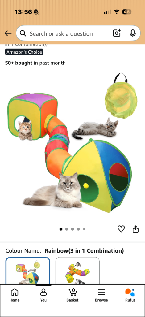 Indoor cat tunnel and dragon hiding spot