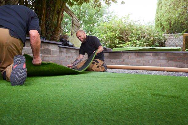 Artificial Grass Roll – Green, New Condition