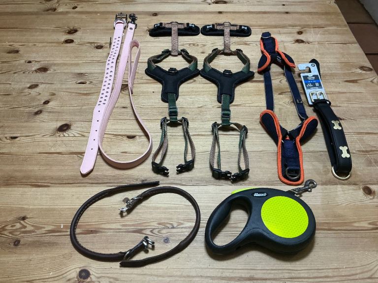 Puppy leather collars, 3 peaks training harnesses, collars and leads