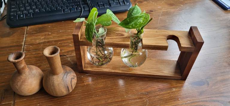 Wooden propagation set