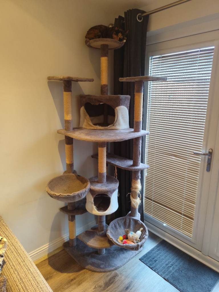 Free cat tree 