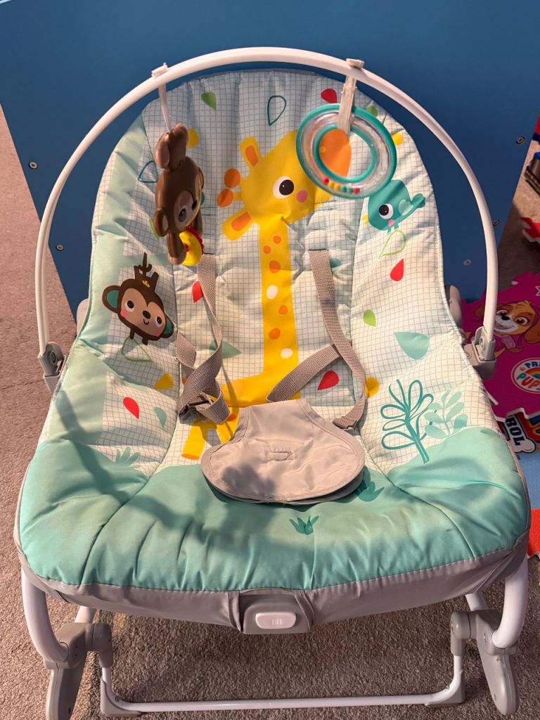 Baby Bouncer Seat