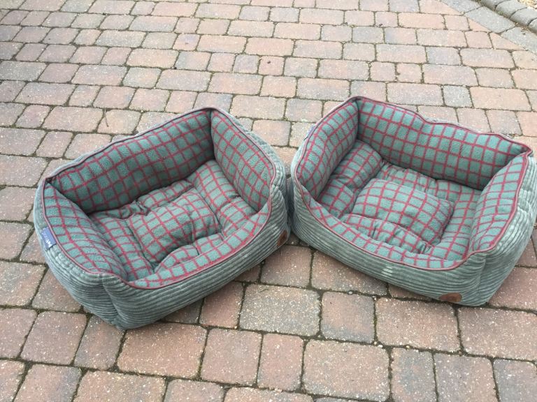 Dog Beds