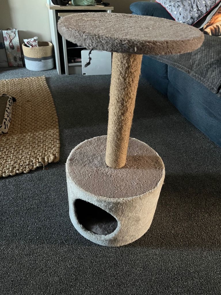 Free hide n seek cat stand 