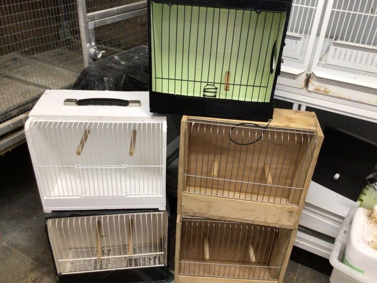 Budgie/bird seed and equipment