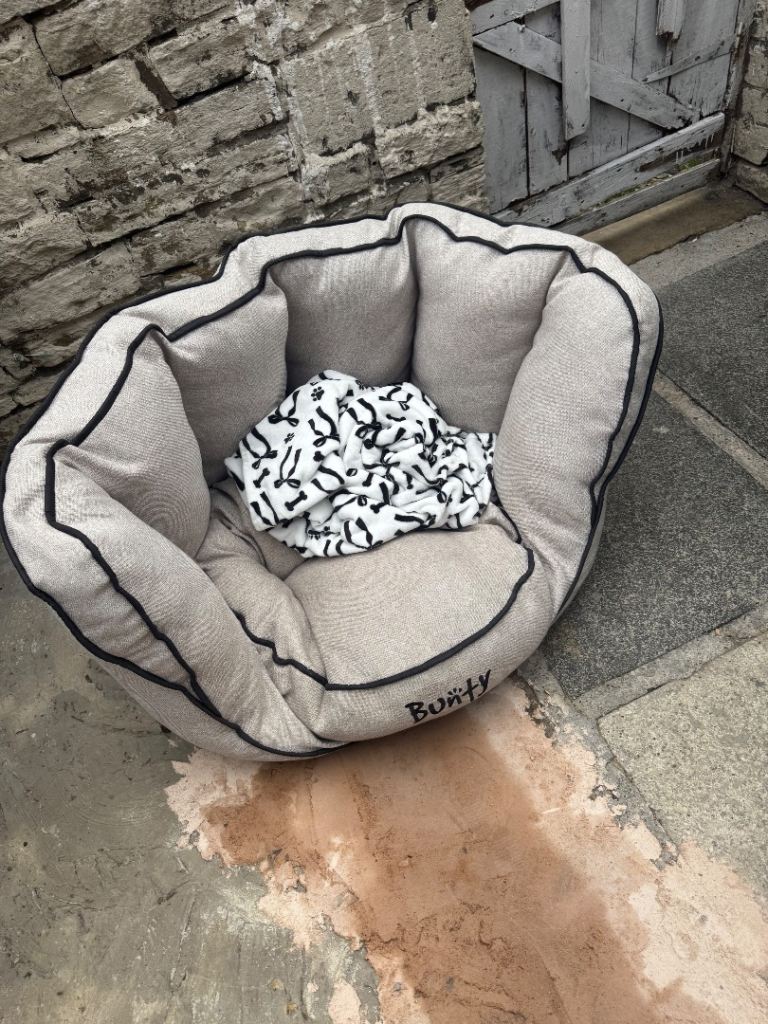 Dog bed large