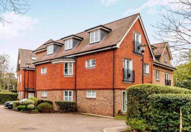 A professional person required as a Lodger 