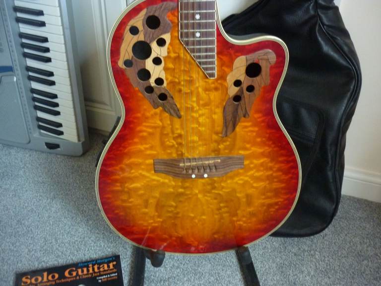 Special model of Stagg, electroaccoustic