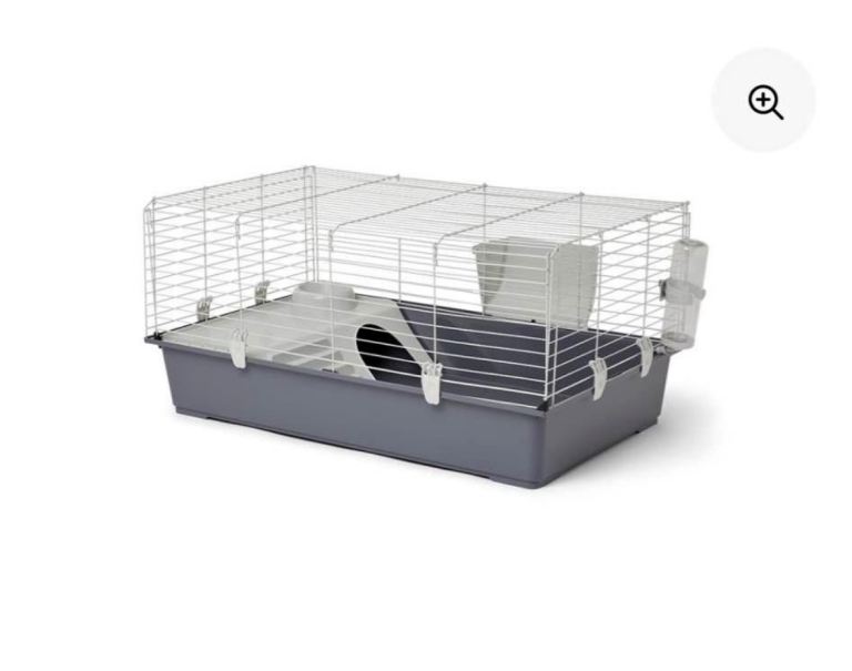 Guinea pig cage 