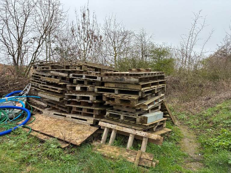 Free Pallets 
