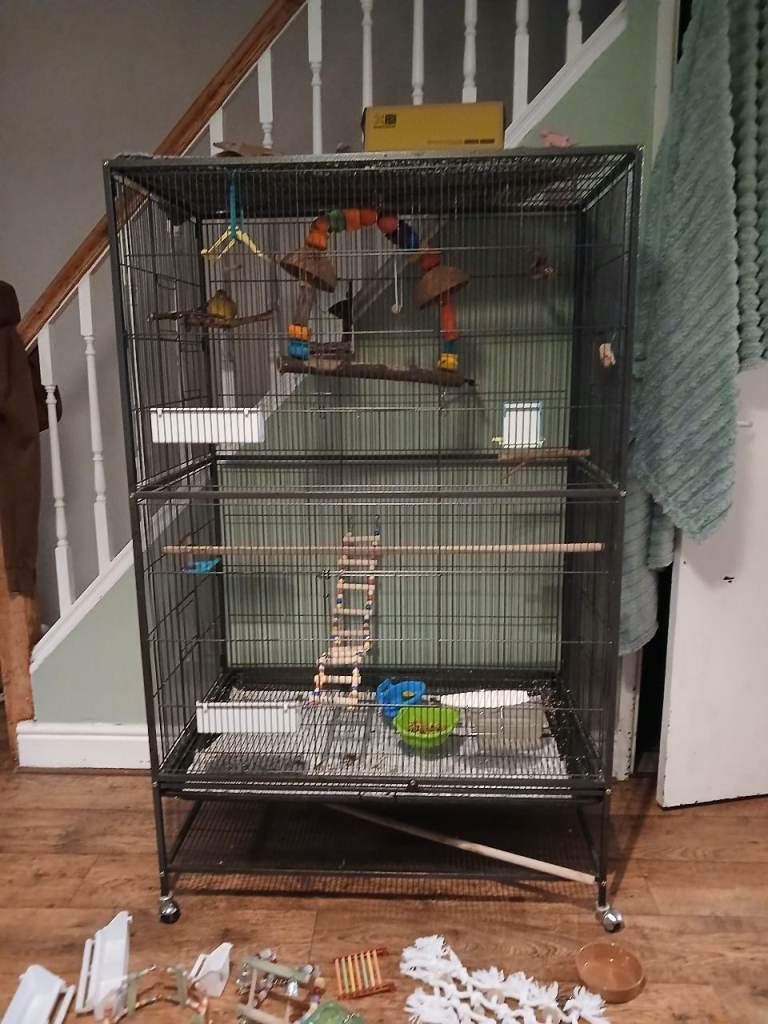 Bird cage