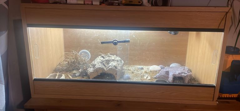 3ft Vivarium