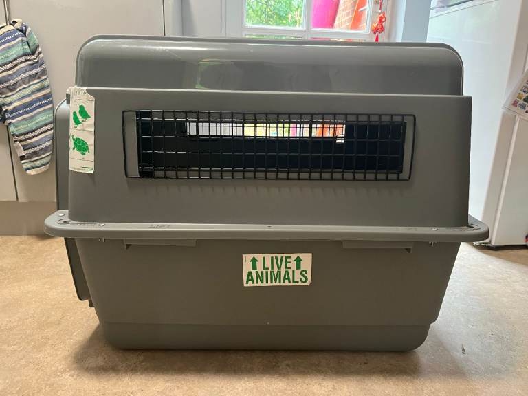 Crate from Small Dog or Cat