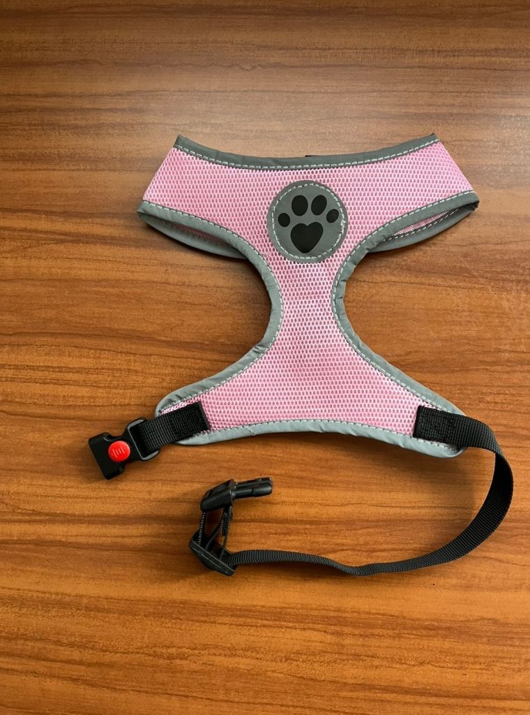 Brand New Small Dog Pink Harnesses