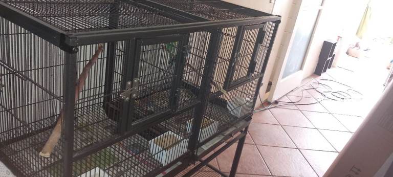 Spacious budgie cage with stand 