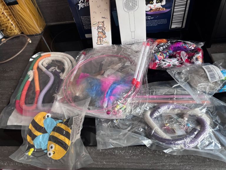 Cat toys 