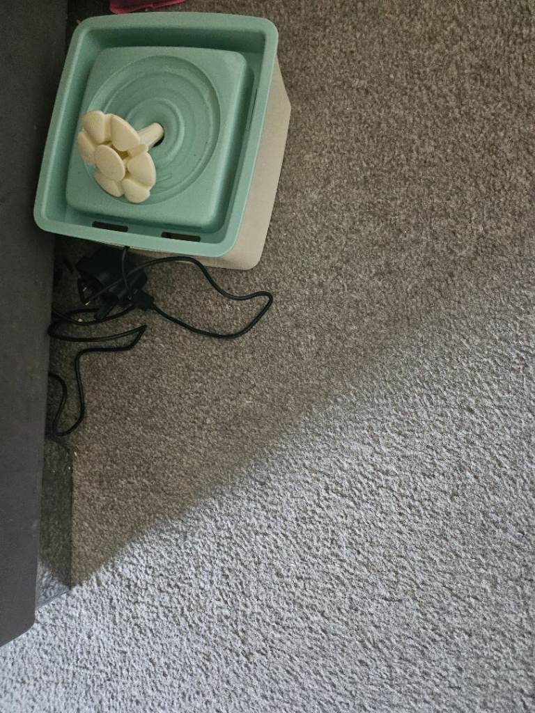  water fountain 