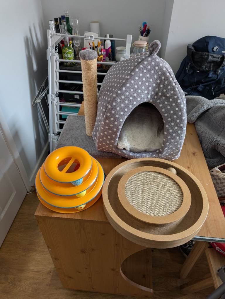 Cat accessories 