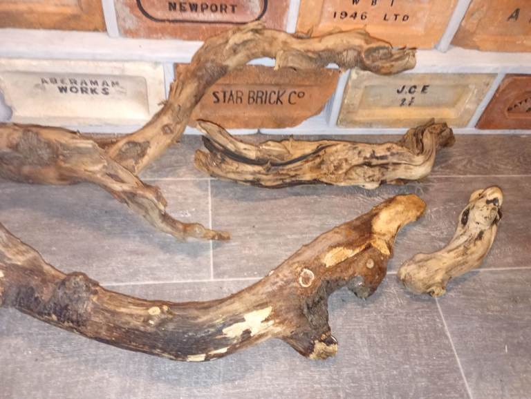 Untreated driftwood gnarly pieces for aquarium or vivarium